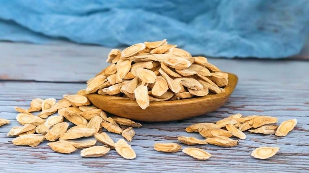 Astragalus