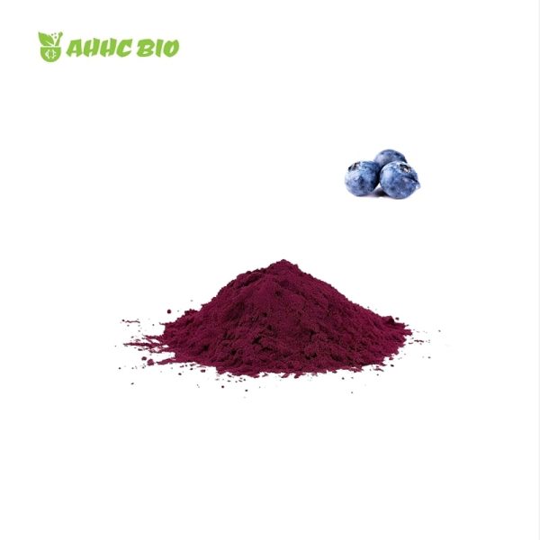 Blueberry Extract Powder