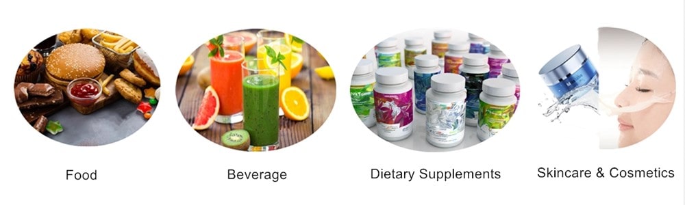 Blueberry Extract Powder Applications