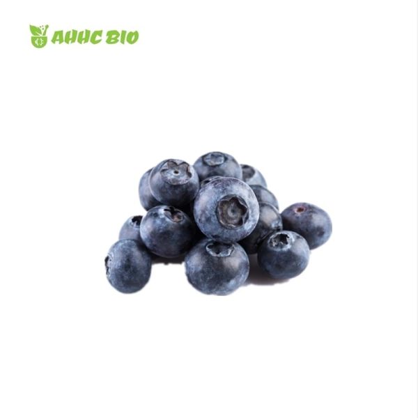Chinese Bilberry Extract - Image 2