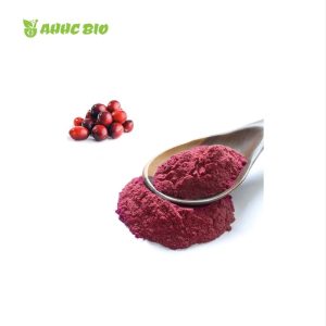 Cranberry Extract Powder