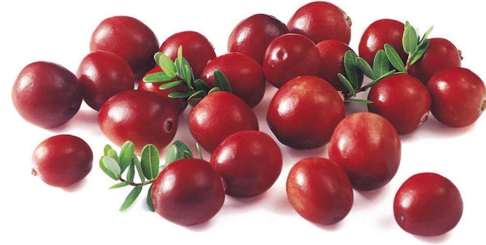 Cranberry Extract Powder Applications