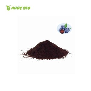 European Bilberry Extract Powder