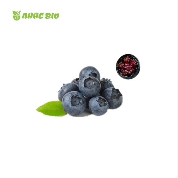 European Bilberry Extract Powder - Image 2