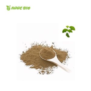 Ginkgo Biloba Extract Powder