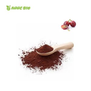 Grape Seed Extract Powder