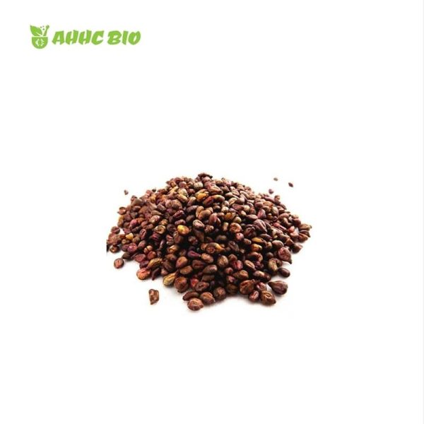 Grape Seed Extract Powder - Image 2