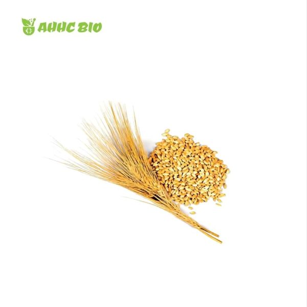 Liquid Malt Extract - Image 2