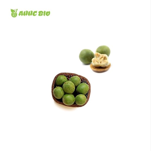 Monk Fruit Extract - Image 2