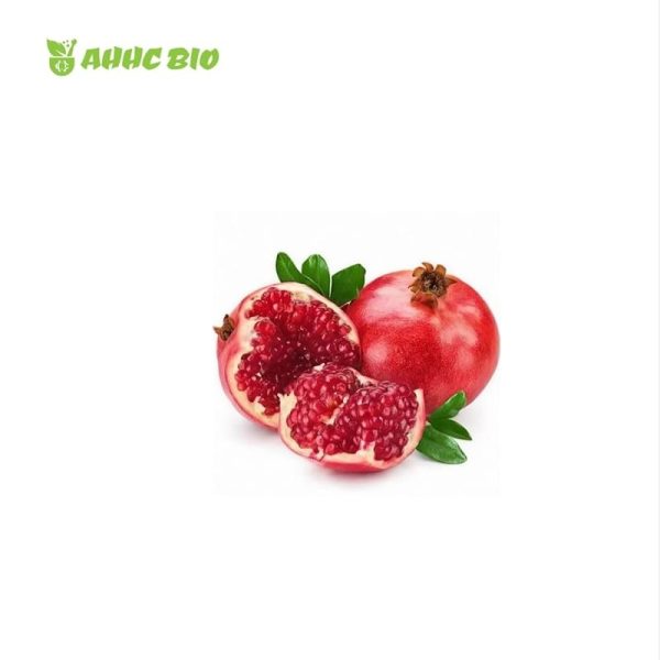 Pomegranate Seed Extract - Image 2
