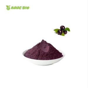 Organic Acai Berry Powder