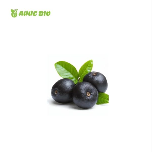 Organic Acai Berry Powder - Image 2