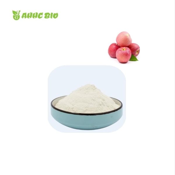 Organic Apple Powder