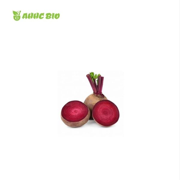 Organic Beet Root Juice Powder - Image 2