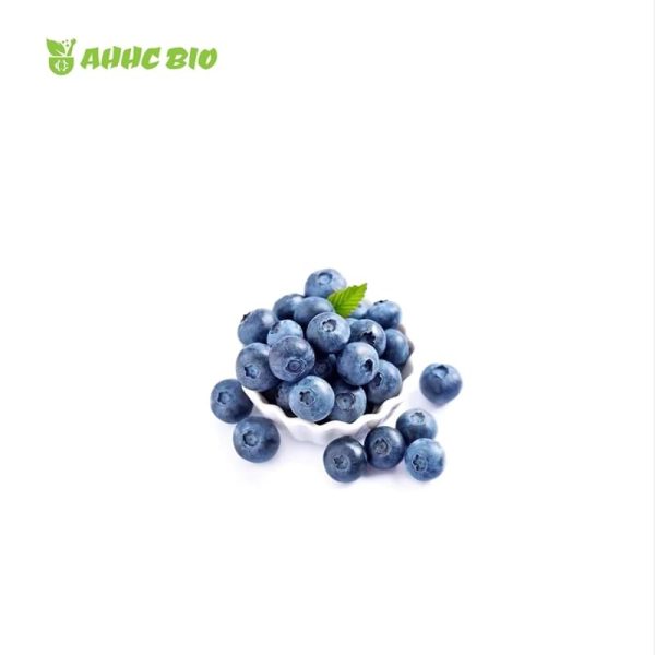 Blueberry Powder - Image 2