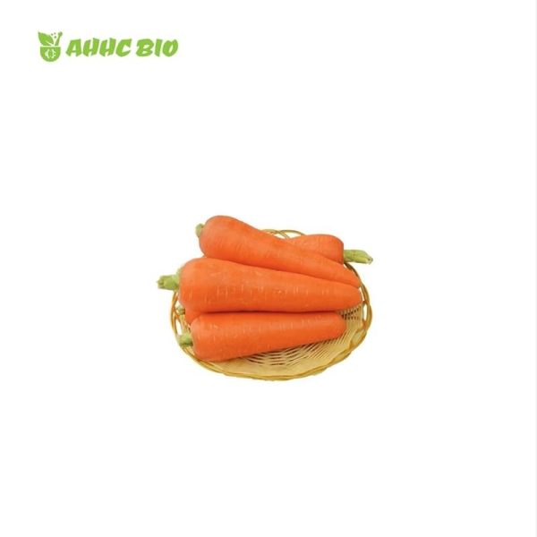 Carrot Juice Powder - Image 2
