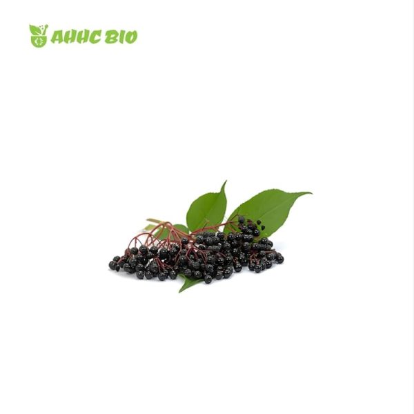 Elderberry Juice Powder - Image 2