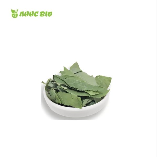 Epimedium Extract Powder - Image 2