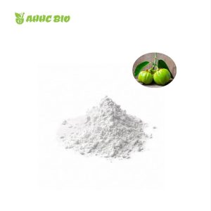 Garcinia Cambogia Extract Powder