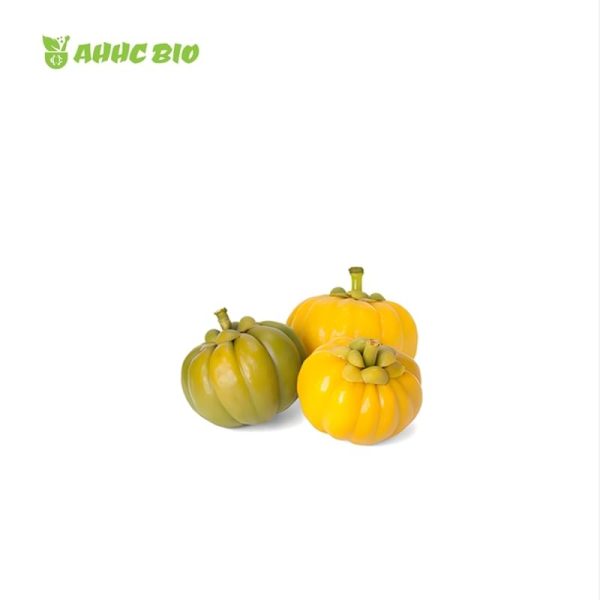 Garcinia Cambogia Extract Powder - Image 2