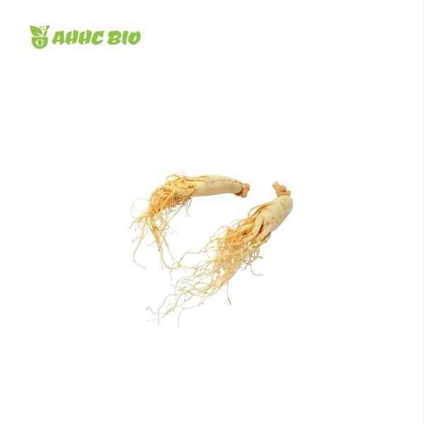 Organic Ginseng Extract - Image 2