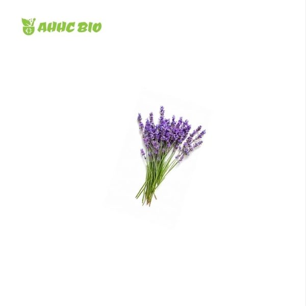 Lavender Essential Oil - Image 2