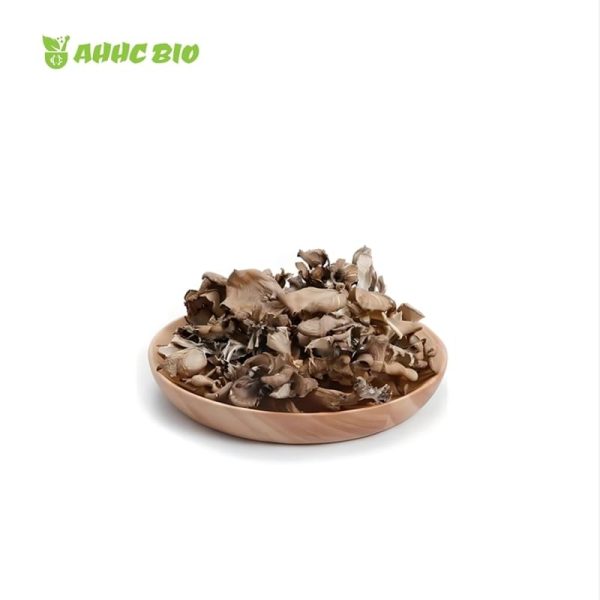Organic Maitake Mushroom Extract - Image 2