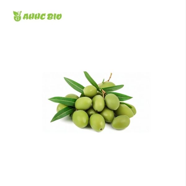 Olive Oil - Image 2
