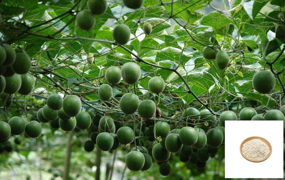 Organic Monk fruit Extract