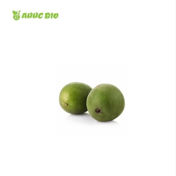 Organic Monk Fruit Extract - Image 2