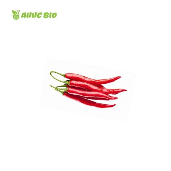 Paprika Oleoresin - Image 2