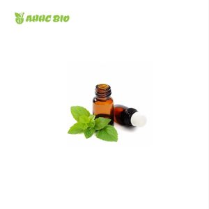 Peppermint Essential Oil