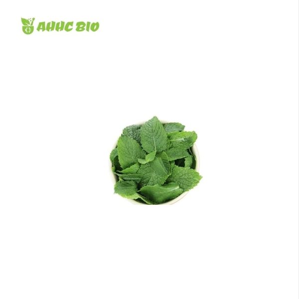 Peppermint Essential Oil - Image 2