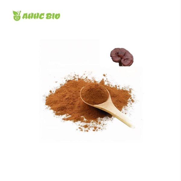 Organic Reishi Extract Powder