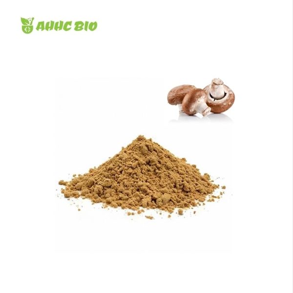 Organic Shiitake Mushroom Extract