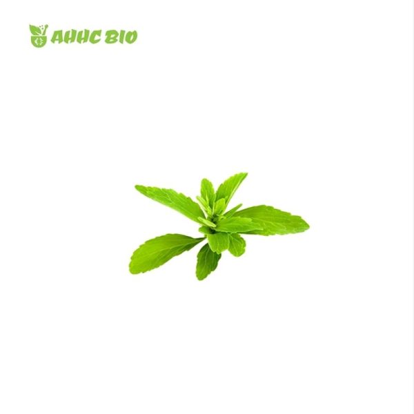 Organic Stevia Leaf Extract Powder - Image 2