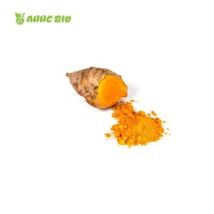 Turmeric Extract Curcumin Powder